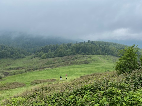 IMG 88001